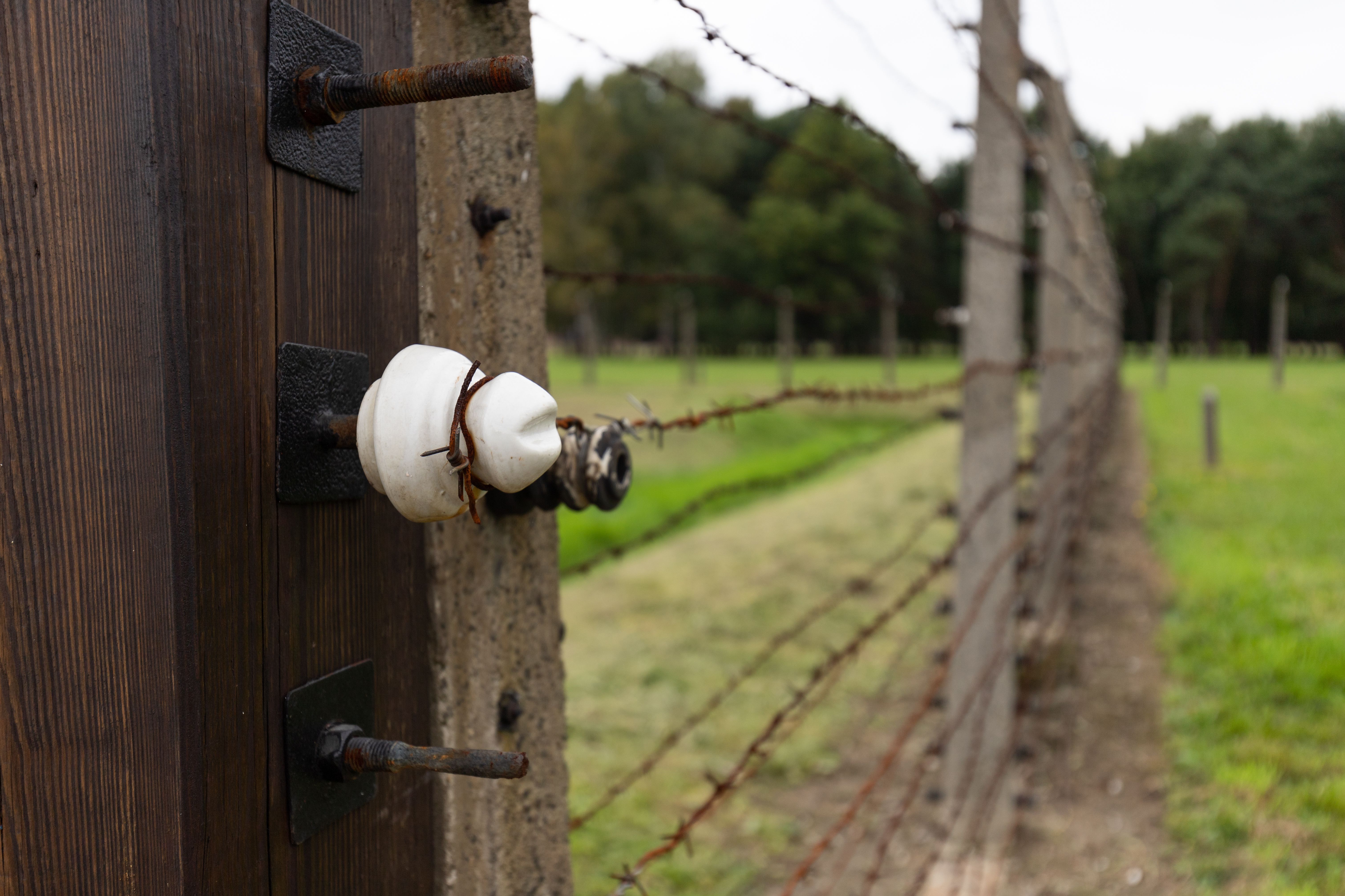 Electric Fence Installation — Close-up shot of an insulator on a barbed wire fence with wooden post in a green field.