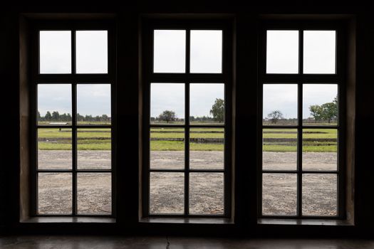 A Field Seen Throug a Window