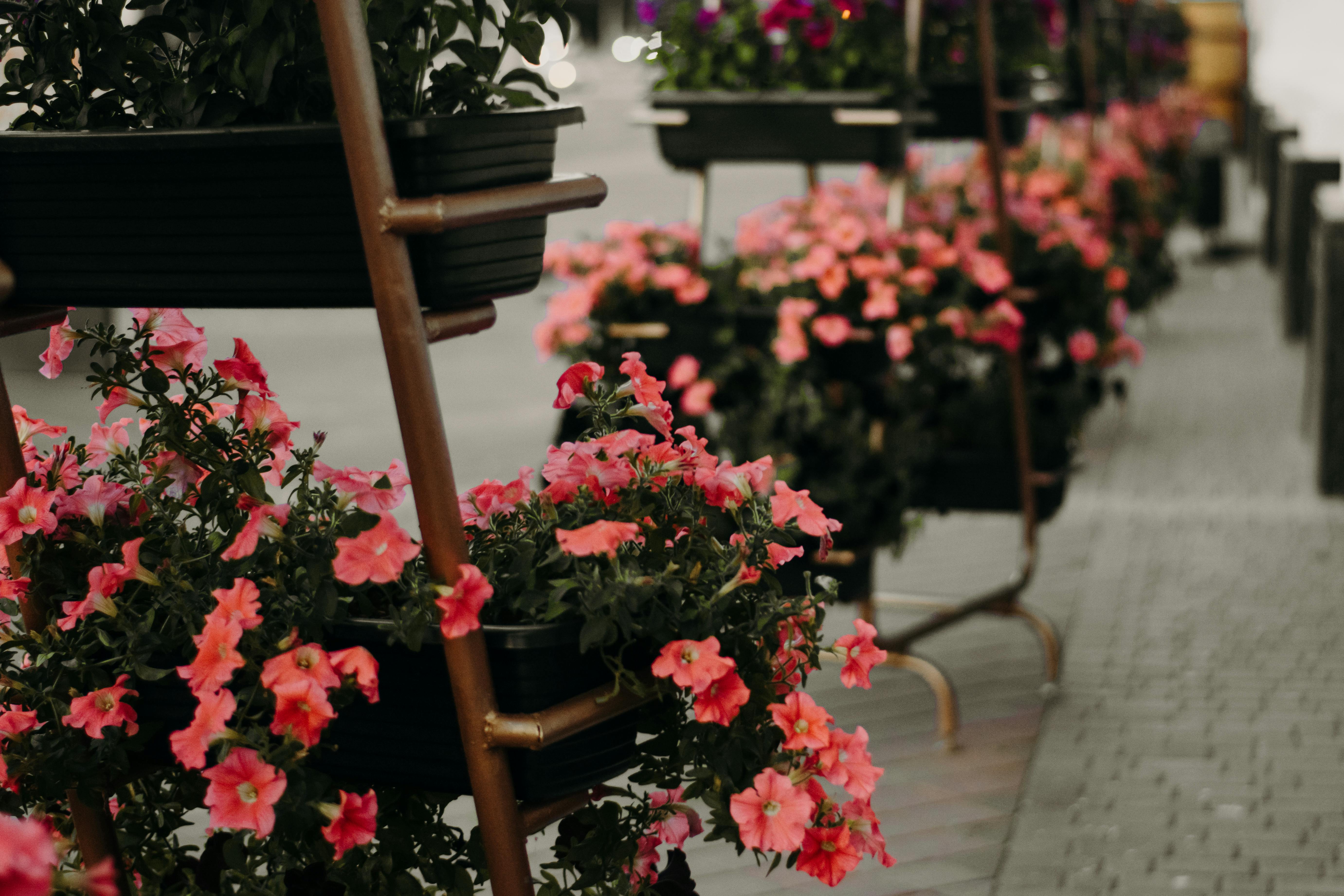 Jardinage à votre ville - Askaide