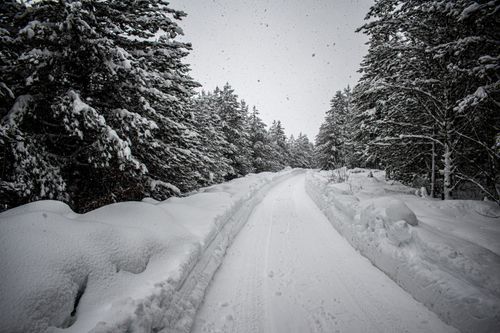 Free Explore a peaceful snow-covered path through a serene forest during snowfall. Stock Photo