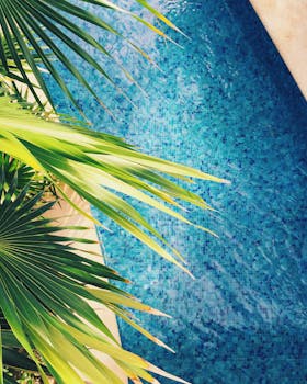 Vibrant palm leaves over a sparkling blue pool evoke tropical relaxation in this Mexico resort scene.