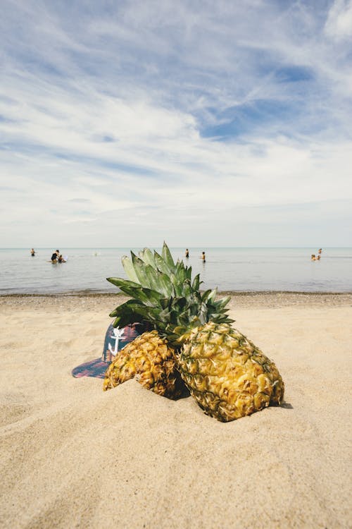 在沙滩上的两个菠萝