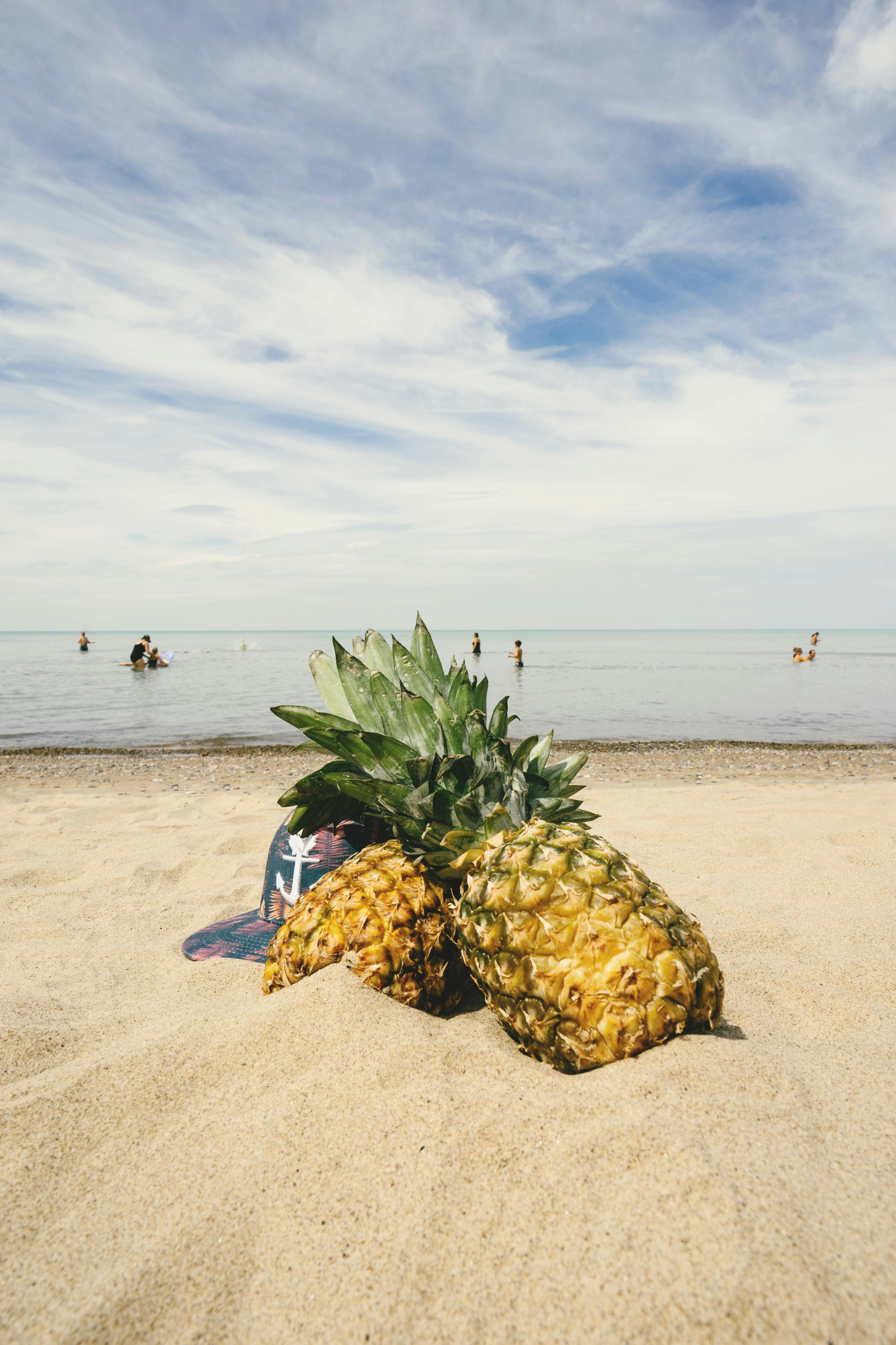 Kostenloses Foto Zum Thema Ananas Blauer Himmel Draußen 7265