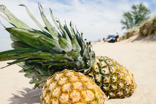 Free Yellow Pineapples on Sand Stock Photo