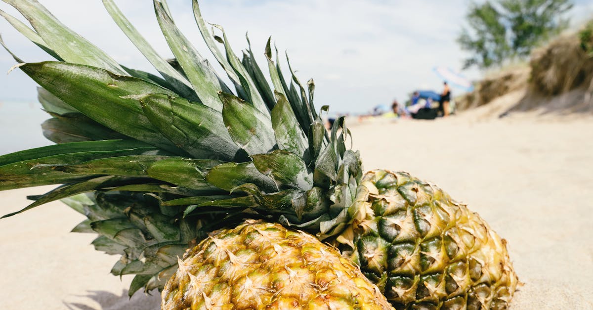 Yellow Pineapples on Sand
