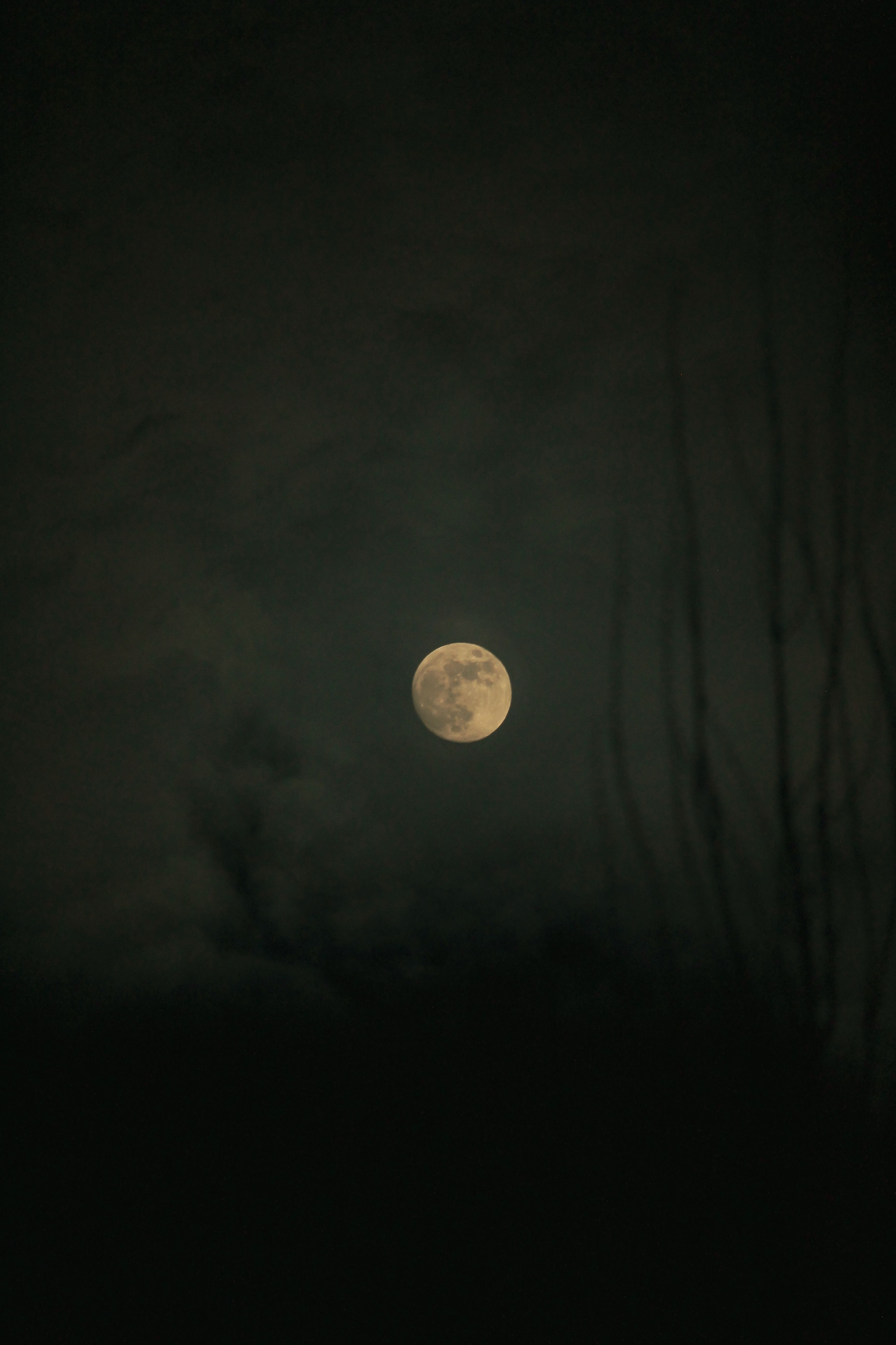 The Full Moon in the Night Sky · Free Stock Photo