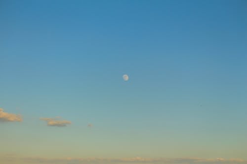 달, 블루, 자연의 무료 스톡 사진