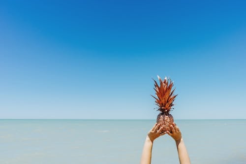 Free Person Holding Lifted Pineapple Fruit Stock Photo