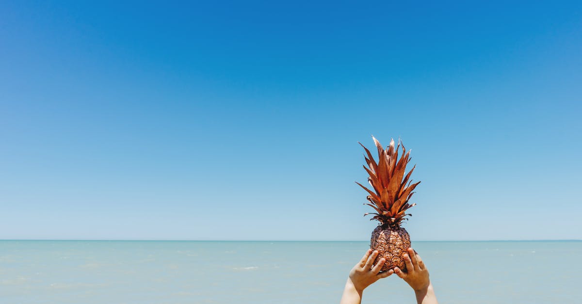 Person Holding Lifted Pineapple Fruit
