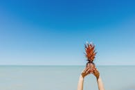 双手握着菠萝，以清澈的蓝天和平静的大海为背景，捕捉到了热带夏季的氛围