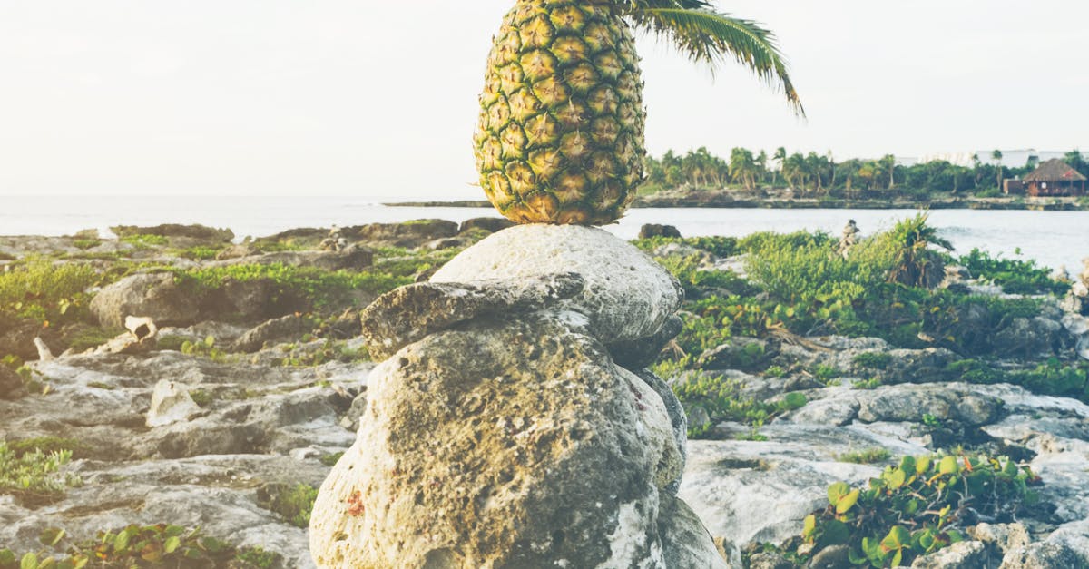 Ripe Pineapple on Stack of Gray Rocks