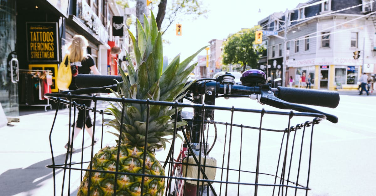 Free stock photo of basket, bicycle, bike