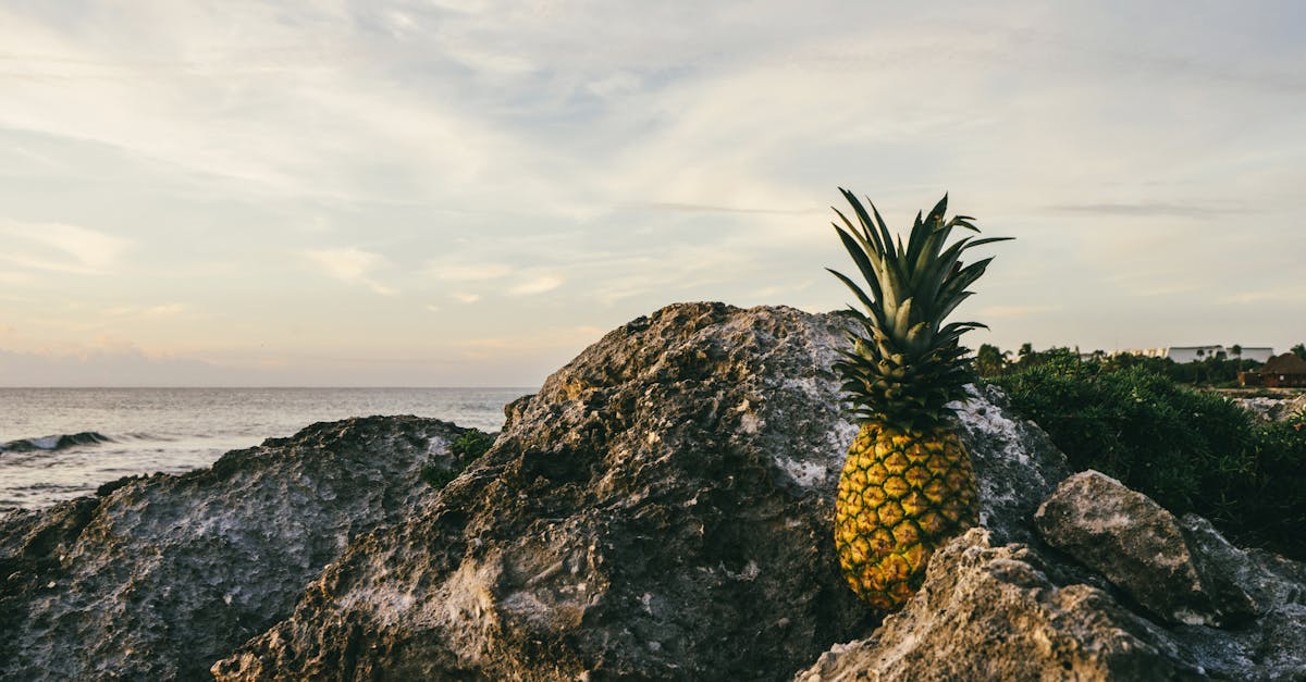 Pineapple on Rock