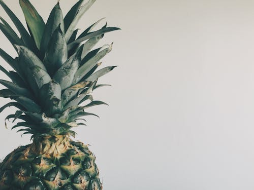Free stock photo of copy space, fruit, pineapple