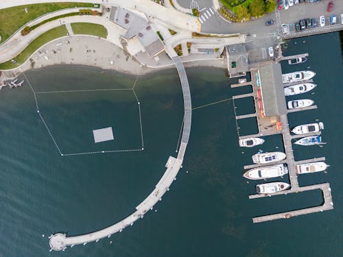 Bird's Eye View of Sea Harbor