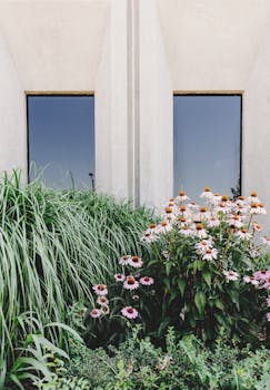 郁郁葱葱的花园里，现代建筑的窗户旁盛开着充满活力的鲜花和绿草