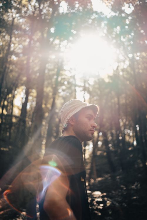 Free A young man in a hat walks through a sunlit forest, embracing the adventure of nature. Stock Photo