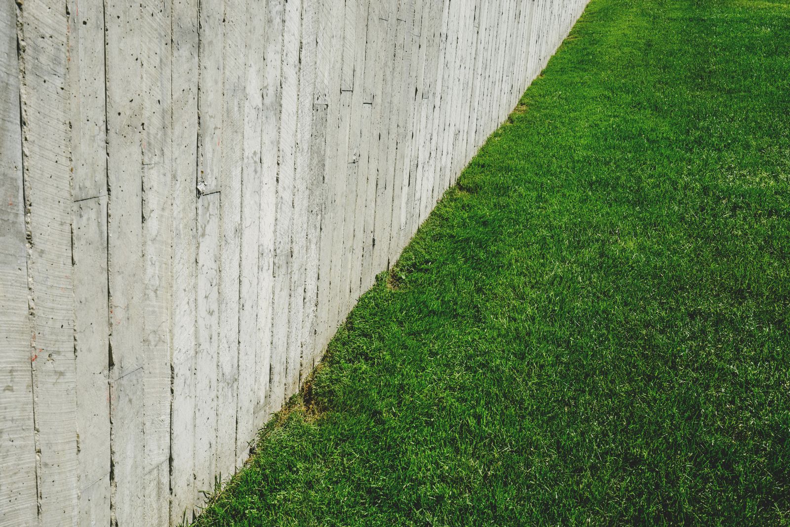 Lush green lawn in bright sunlight