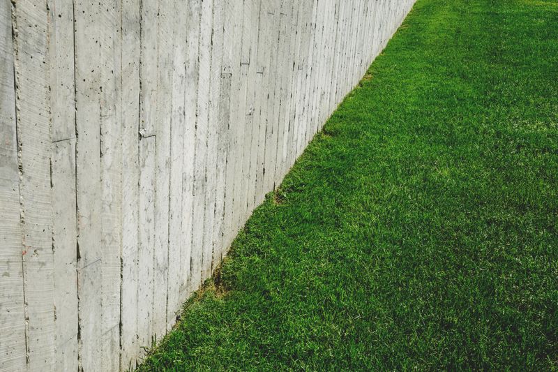 Neat lawn edge along a boundary