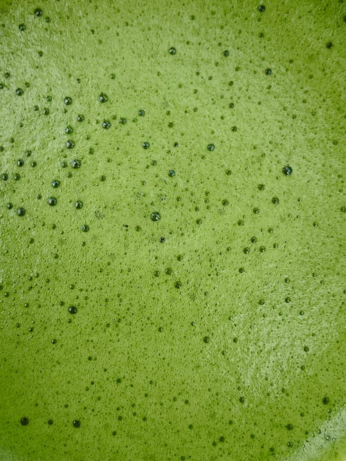 Close-up of a Green Foam with Bubbles 