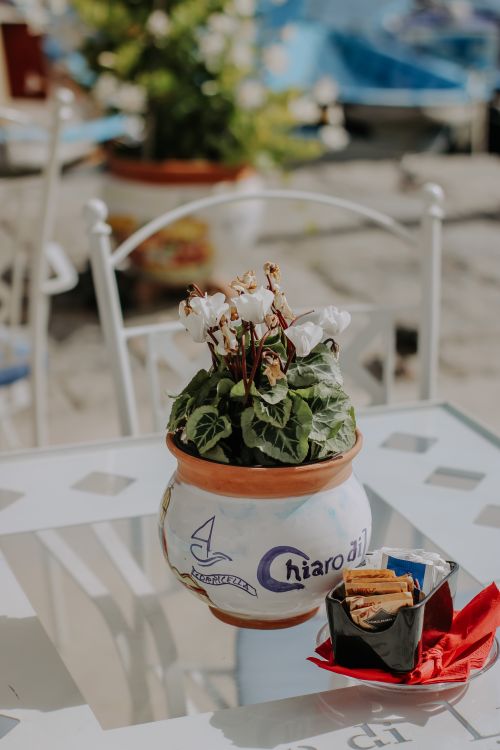 Free Charming clay pot with white flowers on a glass table in a sunlit outdoor cafe setting. Stock Photo