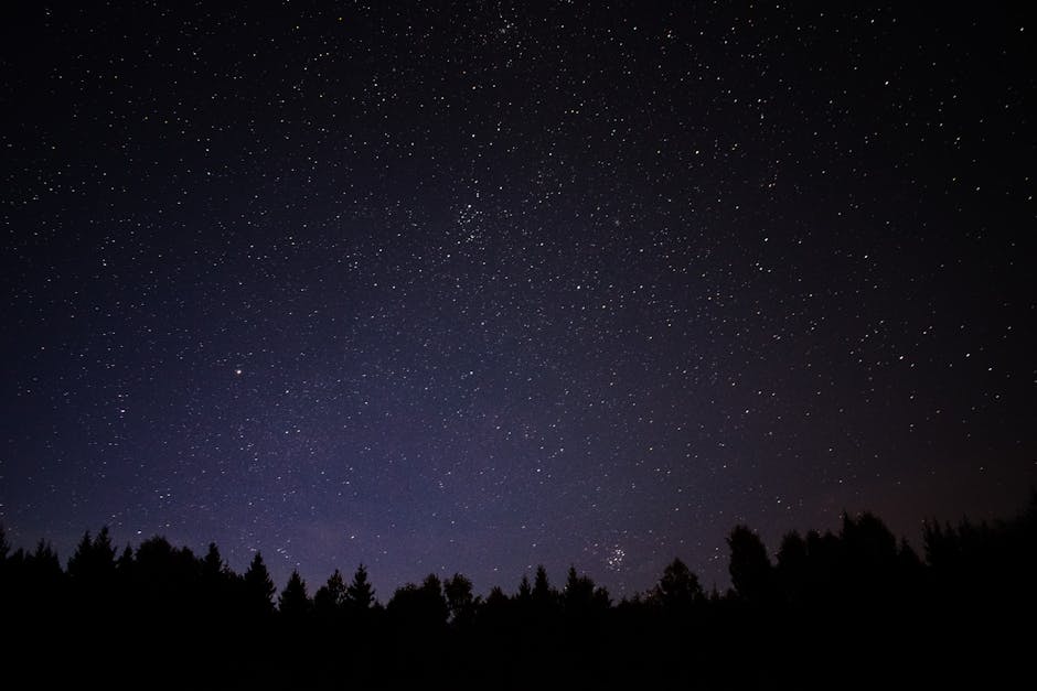 Capture of a starry night sky above a forest in Åmot, Hedmark, showcasing a serene celestial view.