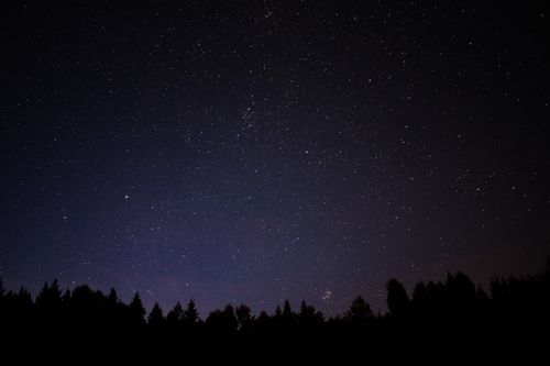 Free Capture of a starry night sky above a forest in Åmot, Hedmark, showcasing a serene celestial view. Stock Photo