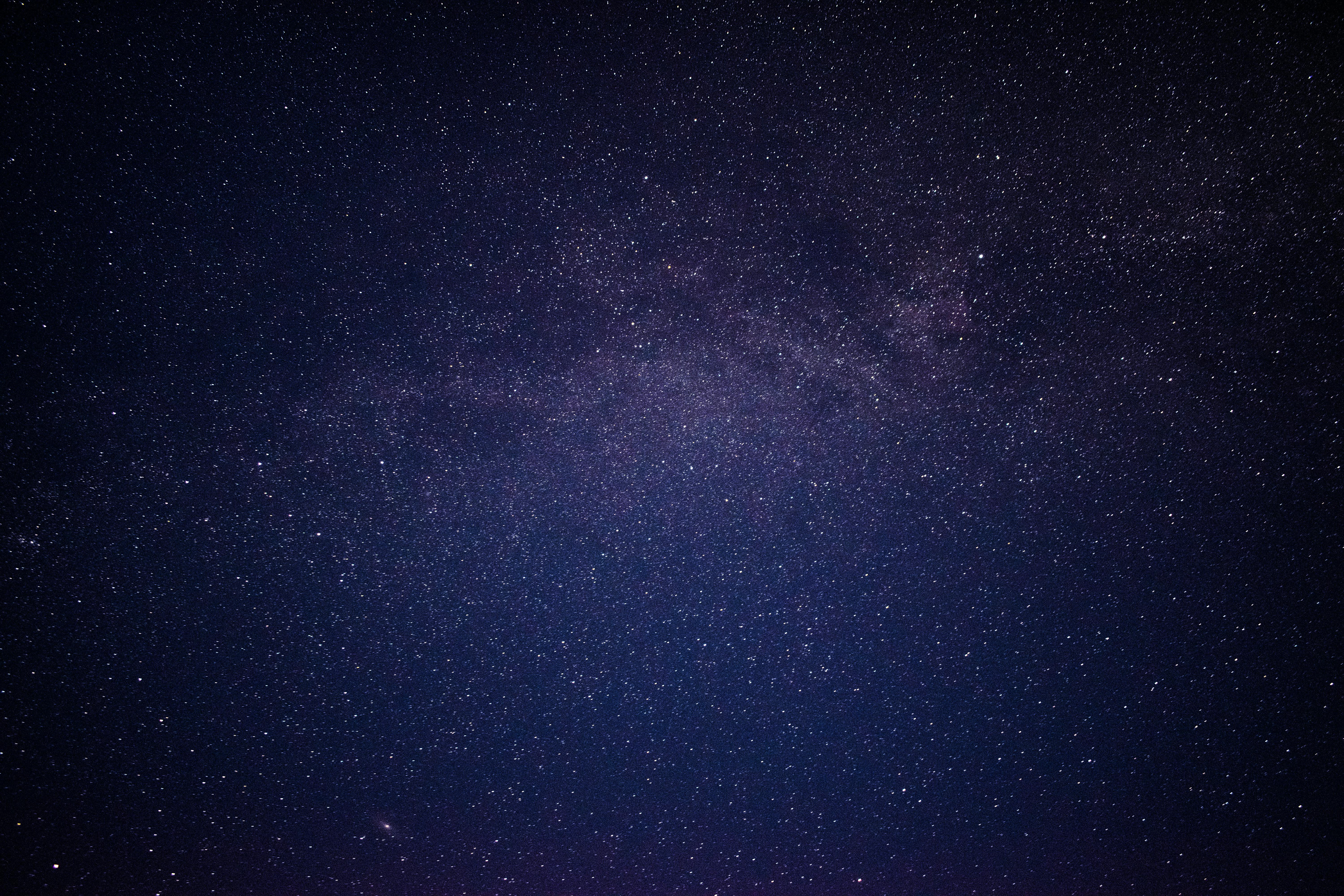 ぜいたく夜空 壁紙 4k 最高の花の画像