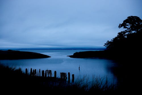 Gratis lagerfoto af blå, daggry, fredelig