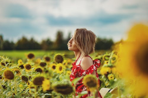 Free Girl in Red and White Floral Dress Standing on Sunflower Field Stock Photo
