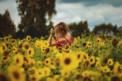 Woman Standing in a Flower Field