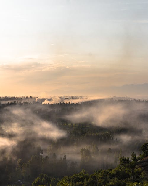 Birds Eye View of a Fog Covered Forest 