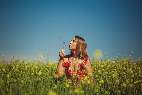 Free Girl in Red and White Floral Dress Holding White and Yellow Lollipop on Yellow Flower Field Stock Photo