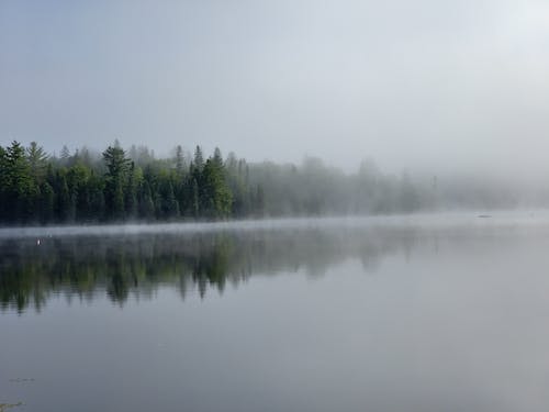 Free stock photo of lake, mist, misty