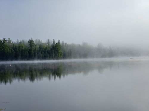 Free stock photo of lake, mist, misty Stock Photo