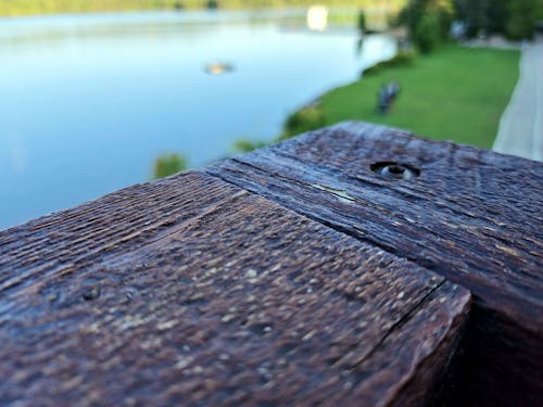 Free stock photo of blurry background, lake, nature