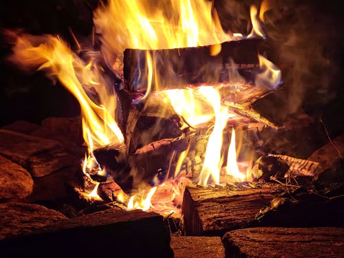 Free stock photo of burning wood, camp, campfire