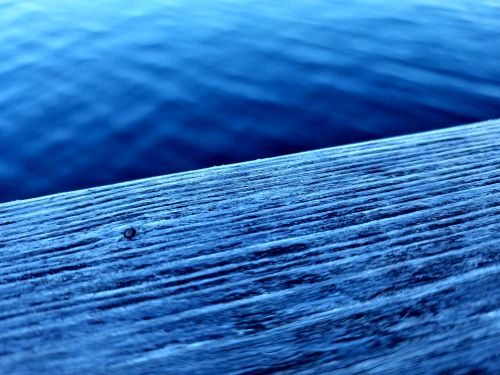 Free stock photo of blue, close-up, wallpaper Stock Photo