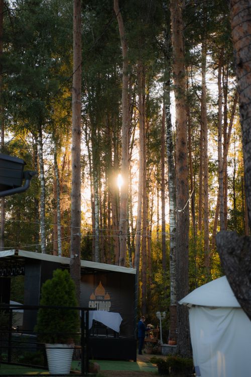 Free Sunlight breaking through tall trees at a serene forest campsite, capturing a peaceful sunset view. Stock Photo