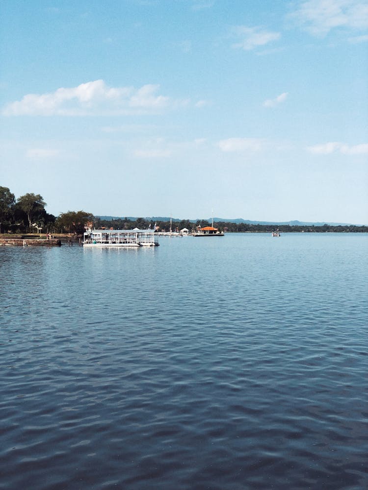 Lake In Summer