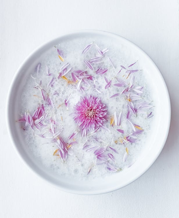 Foto d'estoc gratuïta de blanc, cap de flors, cercle