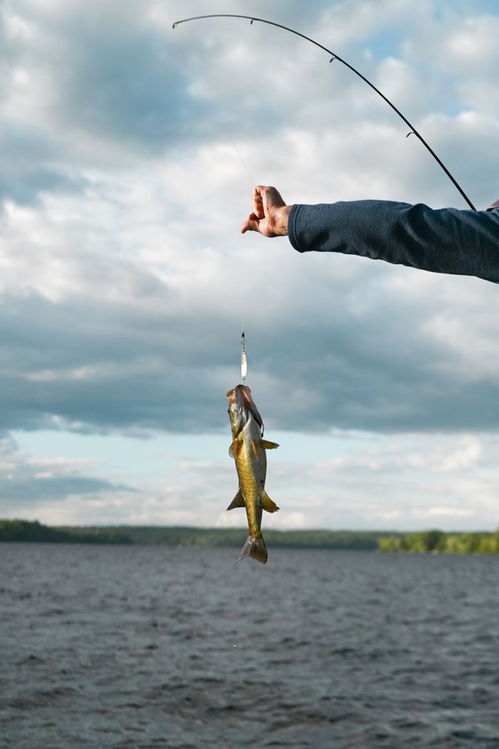 Pescador segurando um peixe capturado sobre o lago