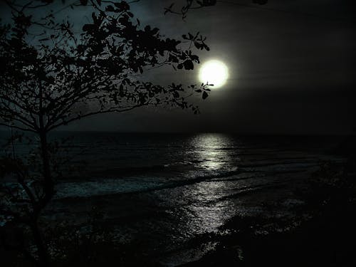 Free stock photo of adobe photoshop, at night, beach