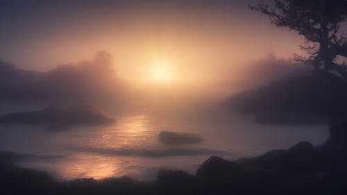 Fotos de stock gratuitas de amanecer, anochecer, con niebla