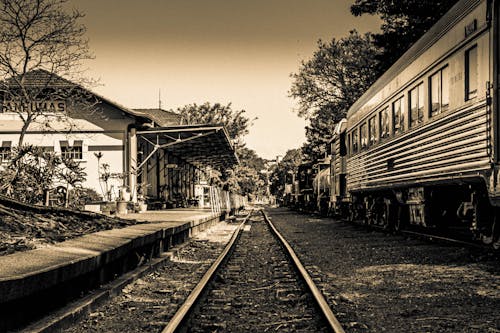 Безкоштовне стокове фото на тему «estacao de trem, Марія Фумаса, потяг»