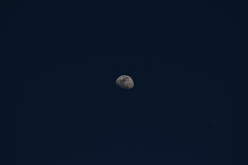 免费 天空, 晚上, 月亮 的 免费素材图片 素材图片