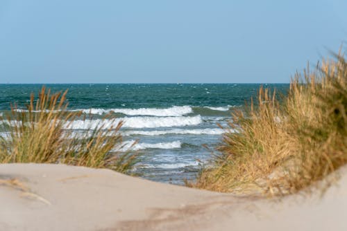 Waves on the Sea Photographed from a Beach with Tufts of Grass