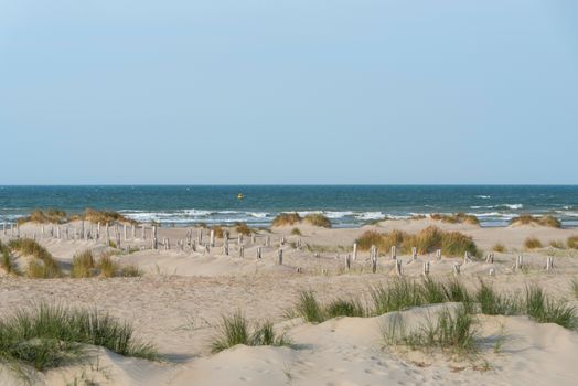 Peaceful sandy beach with dune grasses at Dunkerque, France, under blue sky.