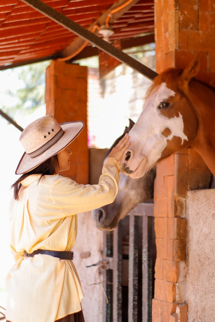 Woman Petting A Horse