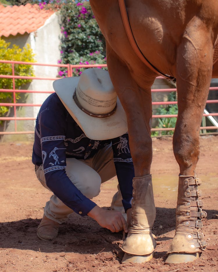 Man Working By Horse Legs